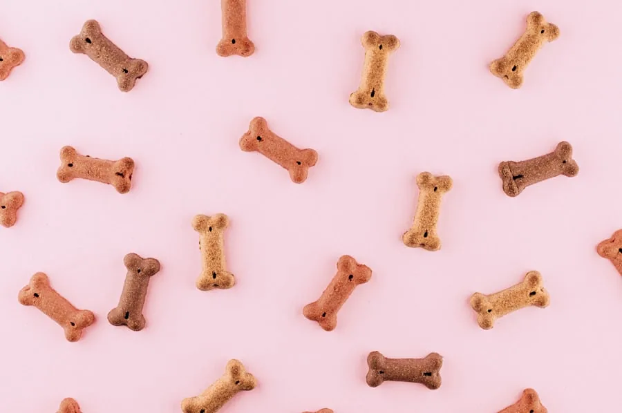 Pet Food & Safety coverage