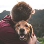 Stories of animal love