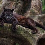 Surprising Facts About the Black Panther – The Inspiration for the Character Black Panther